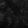 Thumbnail for dataset Fig6-S6_Oca-Pna_Mouse4_5