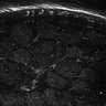 Thumbnail for dataset Fig6-S6_Oca-Pna_Mouse4_13