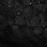 Thumbnail for dataset Fig6-S6_Val-Bz_Mouse1_17