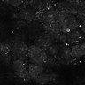 Thumbnail for dataset Fig6-S6_Val-Bz_Mouse2_9