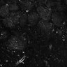 Thumbnail for dataset Fig6-S6_Val-Bz_Mouse2_33