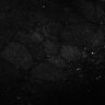 Thumbnail for dataset Fig7-S7_Aa-ValMixtureConc_3