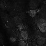 Thumbnail for dataset Fig7-S7_Aa-ValMixtureConc_23