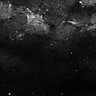 Thumbnail for dataset Fig7-S7_Aa-ValMixtureConc_27