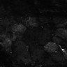 Thumbnail for dataset Fig7-S7_Aa-ValMixtureConc_31