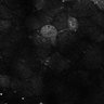 Thumbnail for dataset Fig7-S7_Bz-EhxMixtureConc_2