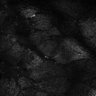 Thumbnail for dataset Fig7-S7_Bz-EhxMixtureConc_11