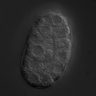 Thumbnail for dataset RNAi_C34E10.2_071030_02