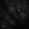 Thumbnail for dataset Fig7-S7_Bz-EhxMixtureConc_26
