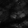 Thumbnail for dataset Fig7-S7_Conc1000_1