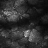 Thumbnail for dataset Fig7-S7_Conc1000_9