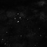Thumbnail for dataset Fig7-S7_Conc1000_14