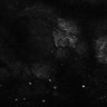 Thumbnail for dataset Fig7-S7_Conc1000_18