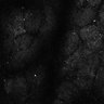 Thumbnail for dataset Fig7-S7_Conc1000_22