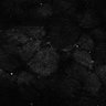 Thumbnail for dataset Fig7-S7_Conc1000_33