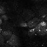 Thumbnail for Fig7-S7_Conc1000_38