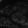 Thumbnail for dataset Fig7-S7_Conc10000_7