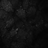 Thumbnail for dataset Fig7-S7_Conc10000_10