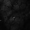 Thumbnail for dataset Fig7-S7_Conc10000_11
