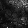 Thumbnail for dataset Fig7-S7_Conc10000_13