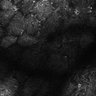 Thumbnail for dataset Fig7-S7_Conc10000_20