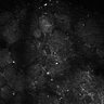Thumbnail for dataset Fig7-S7_Conc10000_25