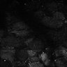Thumbnail for dataset Fig7-S7_Conc10000_27