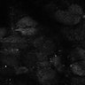 Thumbnail for dataset Fig7-S7_Conc10000_32
