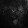 Thumbnail for dataset Fig7-S7_Conc10000_33