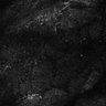 Thumbnail for dataset Fig7-S7_Conc10000_38