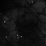 Thumbnail for dataset Fig7-S7_Conc10000_44