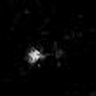 Thumbnail for dataset Fig3C_pten