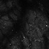 Thumbnail for dataset Fig7-S7_Conc100000_11