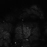 Thumbnail for dataset Fig7-S7_Conc100000_18