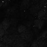Thumbnail for dataset Fig7-S7_Conc100000_28