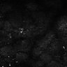 Thumbnail for dataset Fig7-S7_Conc100000_33
