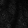 Thumbnail for dataset Fig7-S7_Conc100000_48