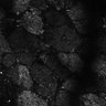 Thumbnail for dataset Fig8-S8_Bz-Val_1