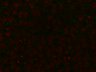 Thumbnail for dataset CycA_fig2_d_1