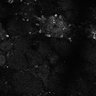 Thumbnail for dataset Fig8-S8_Bz-Val_12