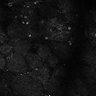 Thumbnail for dataset Fig8-S8_Bz-Val_14