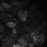 Thumbnail for dataset Fig8-S8_Bz-Val_29