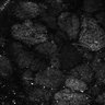Thumbnail for Fig8-S8_Bz-Val_35