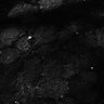 Thumbnail for dataset Fig8-S8_Bz-Val_48
