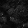 Thumbnail for dataset Fig8-S8_Bz-Val_65