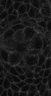 Thumbnail for dataset membrane-GFP_video2