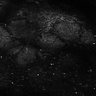Thumbnail for dataset Fig8-S8_Bz-Val_136