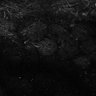 Thumbnail for dataset Fig8-S8_Bz-Val_144