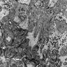 Thumbnail for dataset 52_EL1-2R_8-2_grid19C_x008k_N