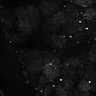 Thumbnail for dataset Fig8-S8_Gua-Acp_7
